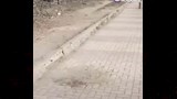 موقع الجريمة (2)