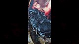 ضبط طن ونصف لحوم وكبدة فاسدة في حملة مكبرة بشبين القناطر (2)