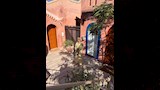 رنا رئيس في أحدث ظهور لها (2)