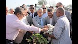 افتتاح موسم جني القطن في بني سويف (3)