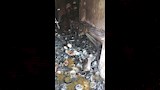 حريق جرجا