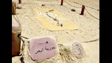 وادي الحيتان (9)