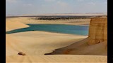 وادي الحيتان (15)