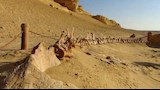 وادي الحيتان (1)