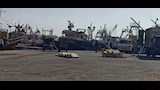 طاولات الاسماك قبل تحميلها على المركب 
