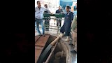 تشكيل لجان ومجموعات عمل للتأكد من جاهزية محطات الصرف ومعدات الإغاثة ومخرات السيول لموسم الأمطار (1)