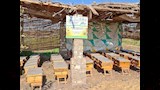 كيف تحولت منازل إفوة في بني سويف إلى وحدات إنتاجية (3)