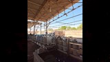 رئيس سمالوط يتابع انتظام العمل بمحطة بوتاجاز شوشة  (2)