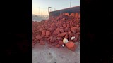 انقلاب سيارة نقل على الصحراوي الغربي بأسيوط