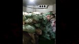 ضبط 70 طن أغذية فاسدة وتحرير 25 محضرًا بالجيزة (5)