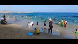 شواطئ الإسكندرية اليوم (2)
