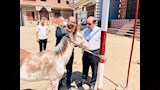 بيطري الدقهلية يطلق قافلة علاجية بقرية البشنيني (2)