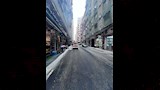 رصف شوارع الإسكندرية (2)