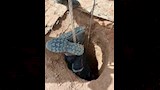 محاولات انقاذ الطفل ايوب في الجزائر