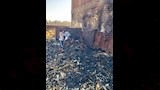 حريق منزل بقرية طما فيوم ببني سويف (3)