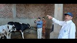 تكثيف التحصينات والمتابعة الميدانية بالمراكز والقرى لتعزيز المناعة والوقاية من الأمراض الوبائية (5)