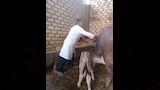 تكثيف التحصينات والمتابعة الميدانية بالمراكز والقرى لتعزيز المناعة والوقاية من الأمراض الوبائية (11)