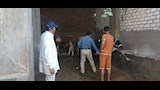 تكثيف التحصينات والمتابعة الميدانية بالمراكز والقرى لتعزيز المناعة والوقاية من الأمراض الوبائية (9)