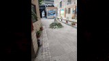 استعدادات مدارس الإسكندرية لبدء الدراسة (12)