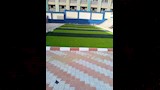 استعدادات مدارس الإسكندرية لبدء الدراسة (28)