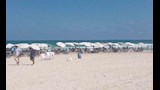 شواطئ الإسكندرية اليوم (7)