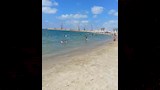شواطئ الإسكندرية اليوم (2)