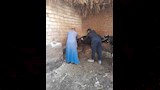 تحصين 32 ألفًا و239 رأس ماشية خلال الأسبوع الأول من الحملة القومية ضد الحمى القلاعية والوادي المتصدع (12)_13