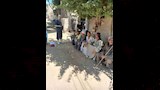 تحصين 32 ألفًا و239 رأس ماشية خلال الأسبوع الأول من الحملة القومية ضد الحمى القلاعية والوادي المتصدع (22)_23