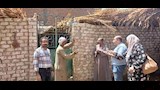 تحصين 32 ألفًا و239 رأس ماشية خلال الأسبوع الأول من الحملة القومية ضد الحمى القلاعية والوادي المتصدع (14)_15