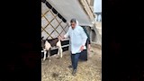 الطب البيطري