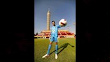 مصطفي شوبير (3)