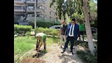 تجميل وتشجير ميدان المدرسة الأمريكية بالمعادي  (5)