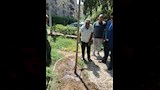 تجميل وتشجير ميدان المدرسة الأمريكية بالمعادي  (9)