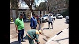 تجميل وتشجير ميدان المدرسة الأمريكية بالمعادي  (12)