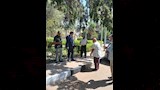 تجميل وتشجير ميدان المدرسة الأمريكية بالمعادي  (11)