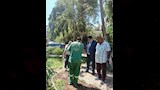 تجميل وتشجير ميدان المدرسة الأمريكية بالمعادي  (14)