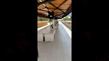 الهيئة القومية لسكك حديد مصر