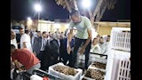 توريد التمور لمجمع تمور المحافظة بمدينة الخارجة