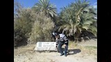 مصراوي في عين خضرا