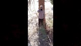 عبد الله علي من جامعي تاريخ واحة الفرافرة