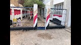 مدارس أسيوط تكثف أعمال الصيانة والتشجير  (7)
