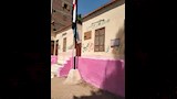 مدارس أسيوط تكثف أعمال الصيانة والتشجير  (2)