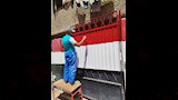 مدارس أسيوط تكثف أعمال الصيانة والتشجير  (11)