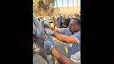  بطولة الفروسية