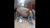 حملة إزالة مكبرة شرق الإسكندرية (5)
