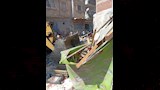 حملة إزالة مكبرة شرق الإسكندرية (6)