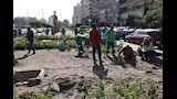 تشجير شارع إبراهيم أبو النجا (2)