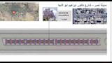 تشجير شارع إبراهيم أبو النجا (9)