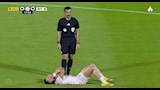 تريزيجيه (15) (1)