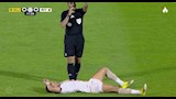 تريزيجيه (16) (1)